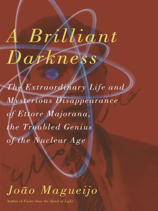 Cover image for A Brilliant Darkness